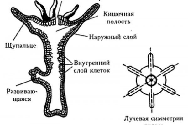 Kra15gl