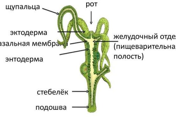 Кракен даркмаркет плейс официальный сайт