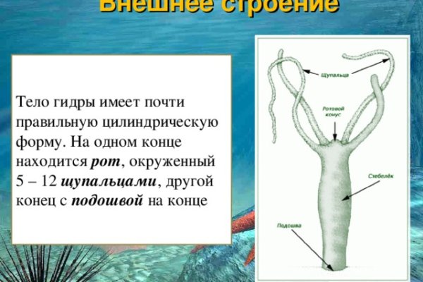 Вывести деньги с кракена