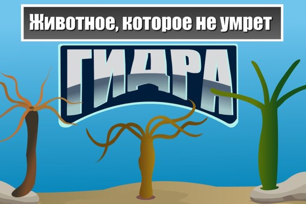 Ссылка на кракен в тор