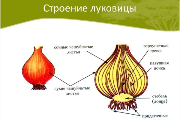 Почему не закрыт сайт кракен
