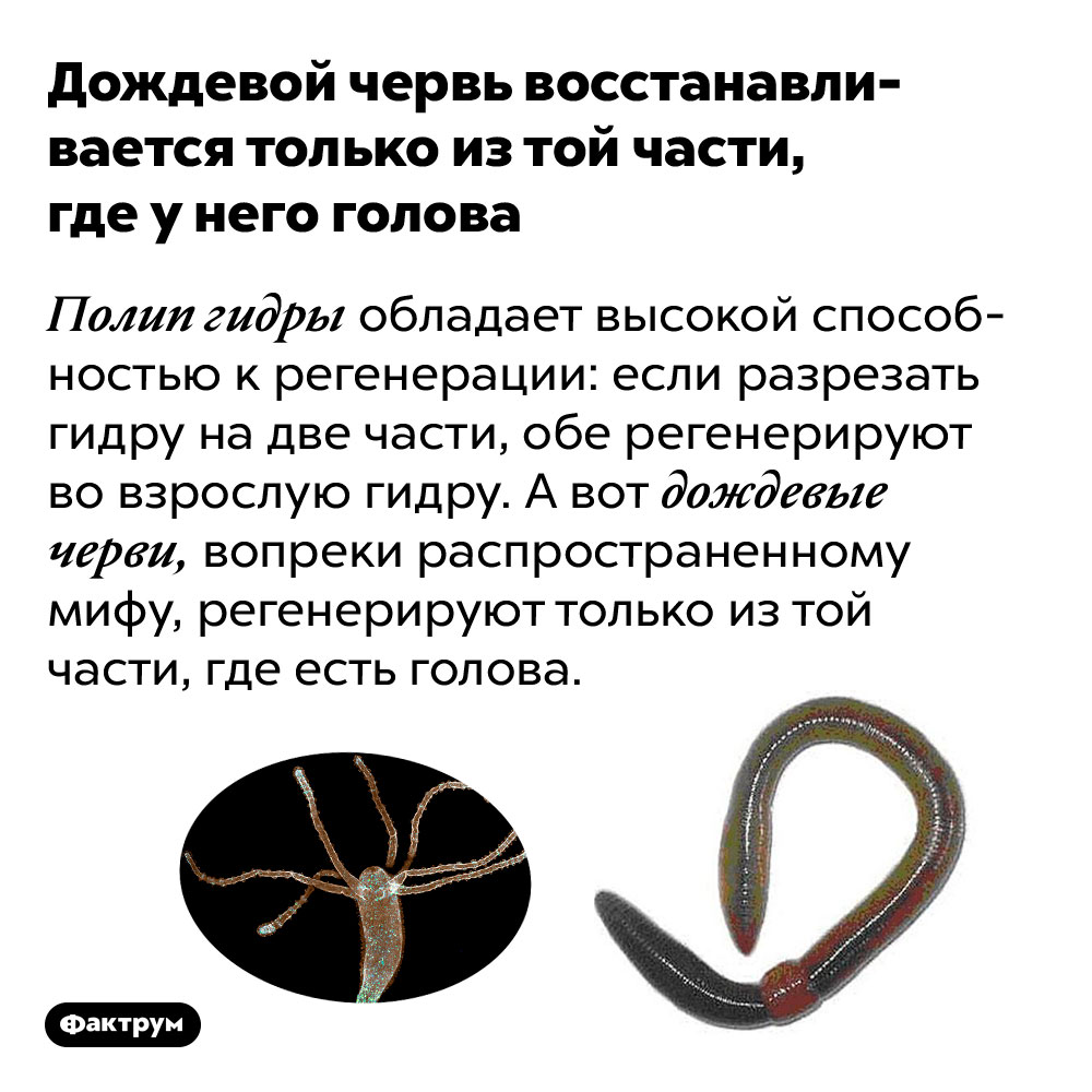 Кракен переходник ссылка